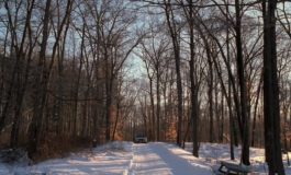 Пайн Барренс Пайн Барренс