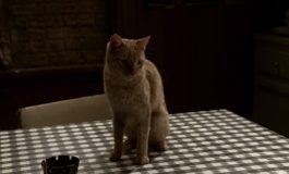 Сделано в Америке Сделано в Америке